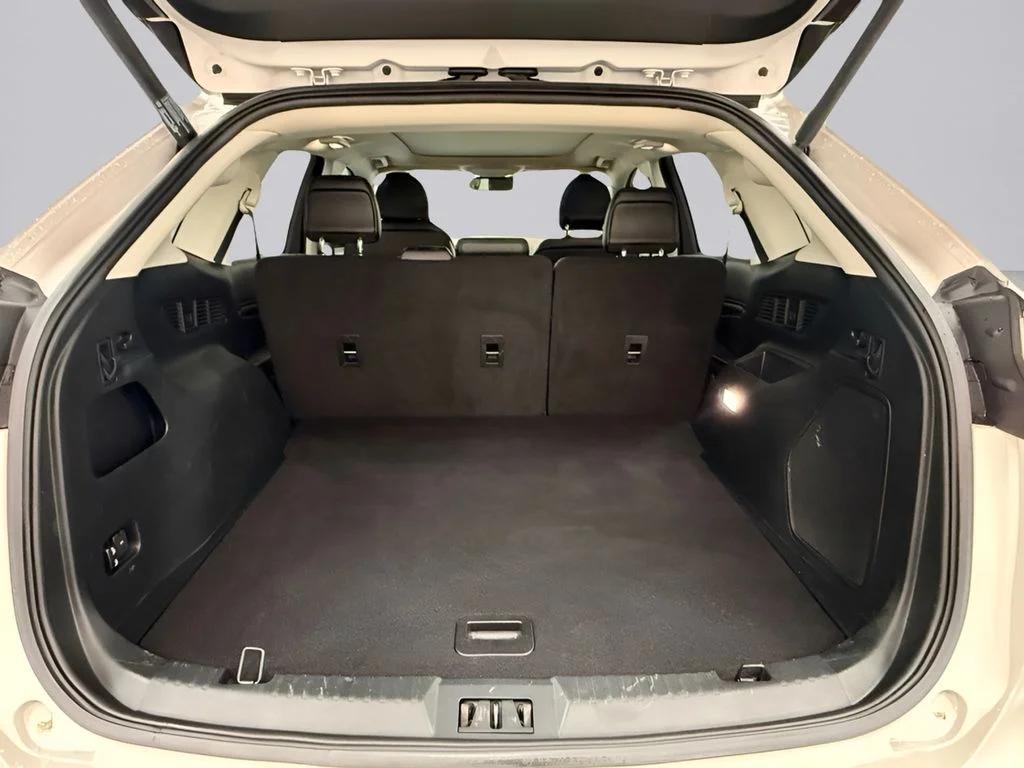 Used 2019 White Ford Titanium image 27