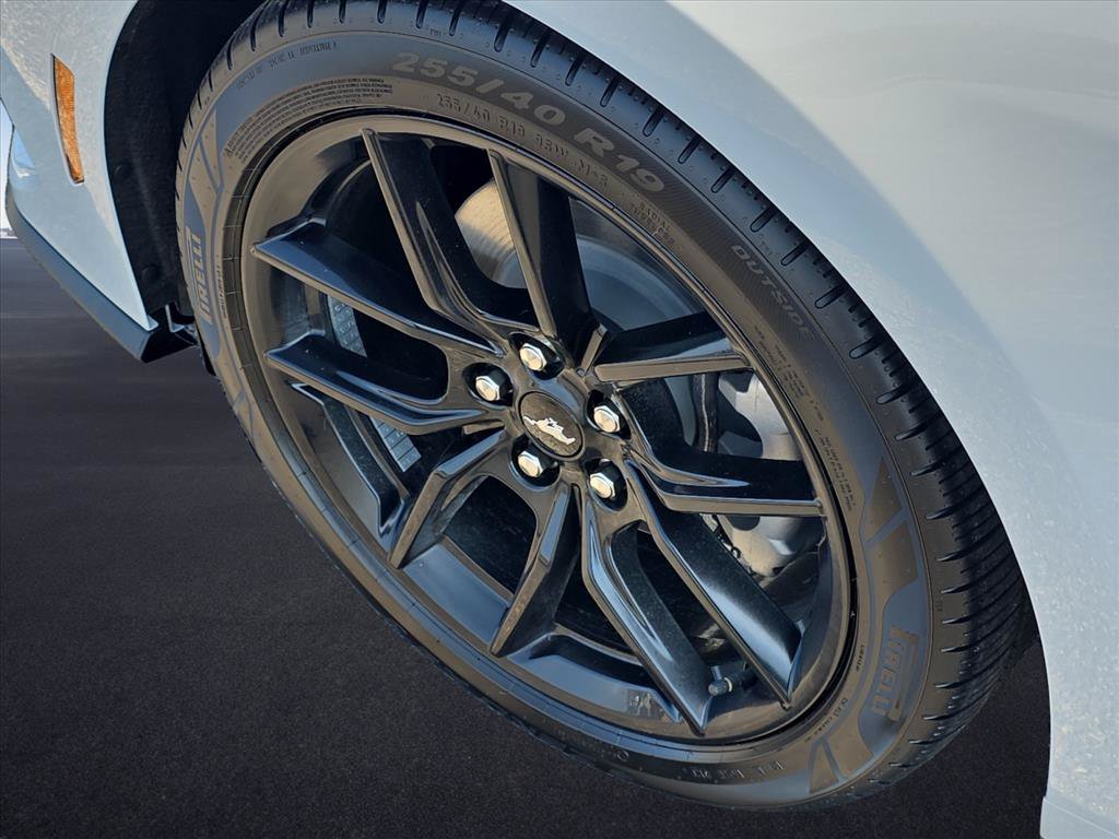 New 2026 Avalanche Gray Ford EcoBoost® Fastback image 9