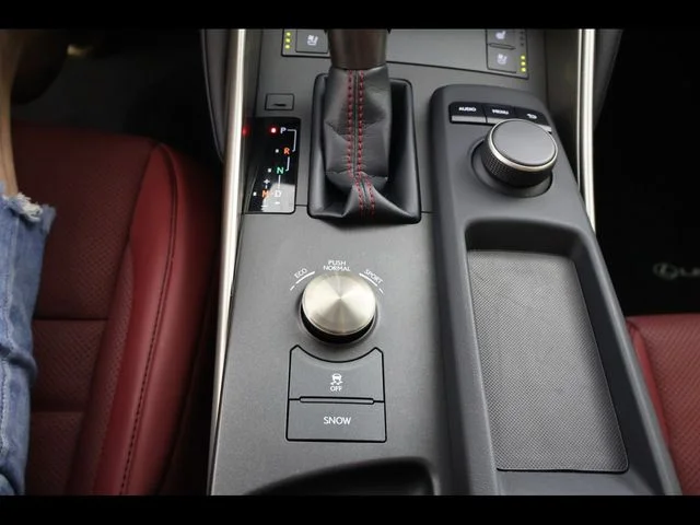 Used 2018 Silver Lexus 300 image 15