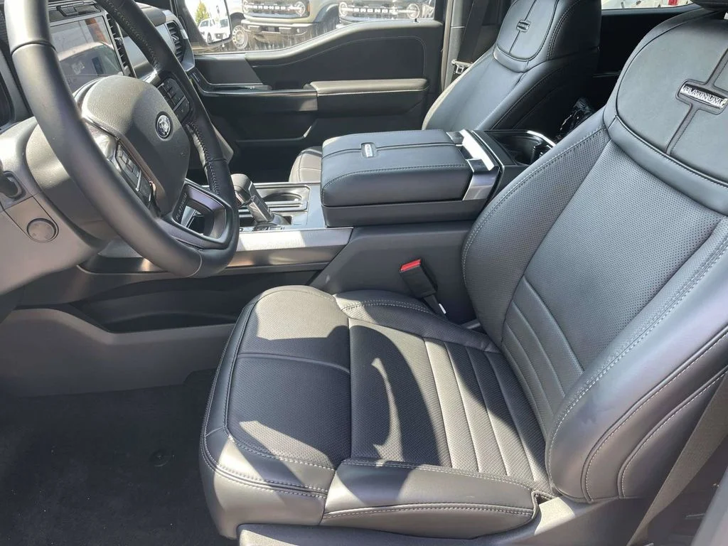 New 2026 Gray Ford Platinum image 13