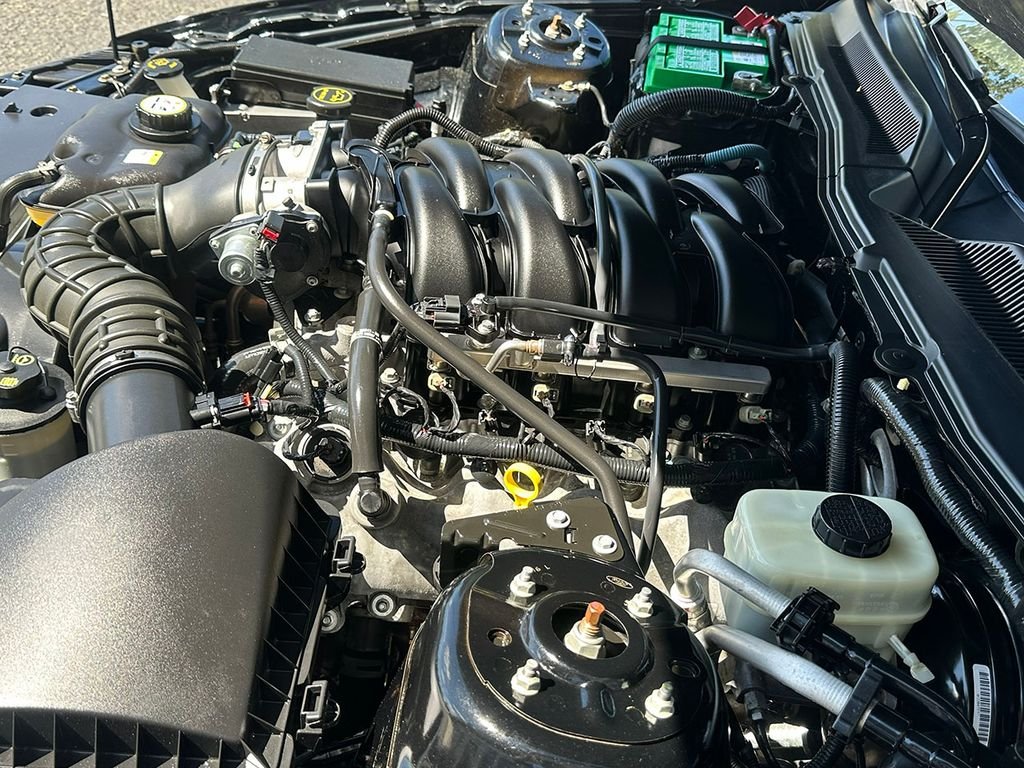Used 2005 Black Ford  image 17