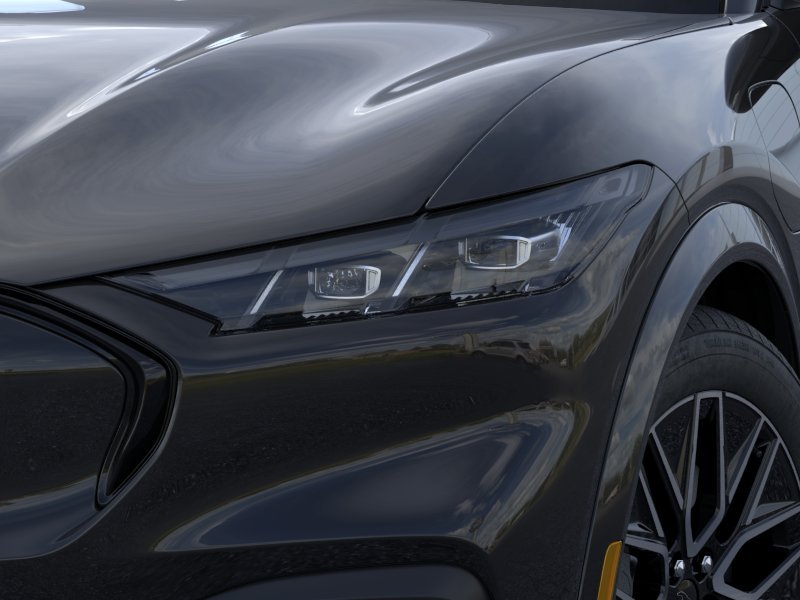 New 2026 Shadow Black Ford Premium image 19
