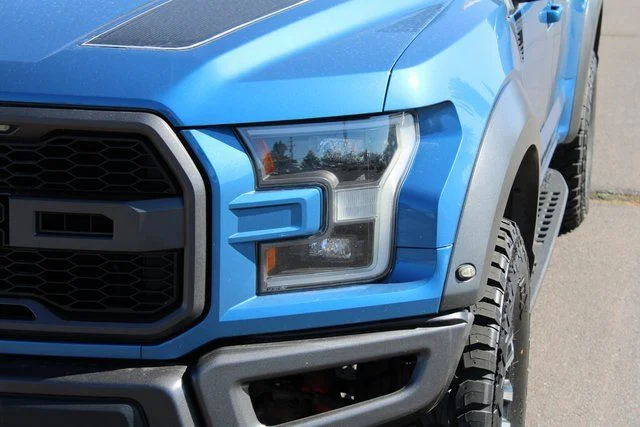 Used 2019 Blue Ford Raptor image 12