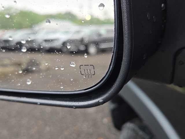Used 2020 Black Ram Rebel image 19