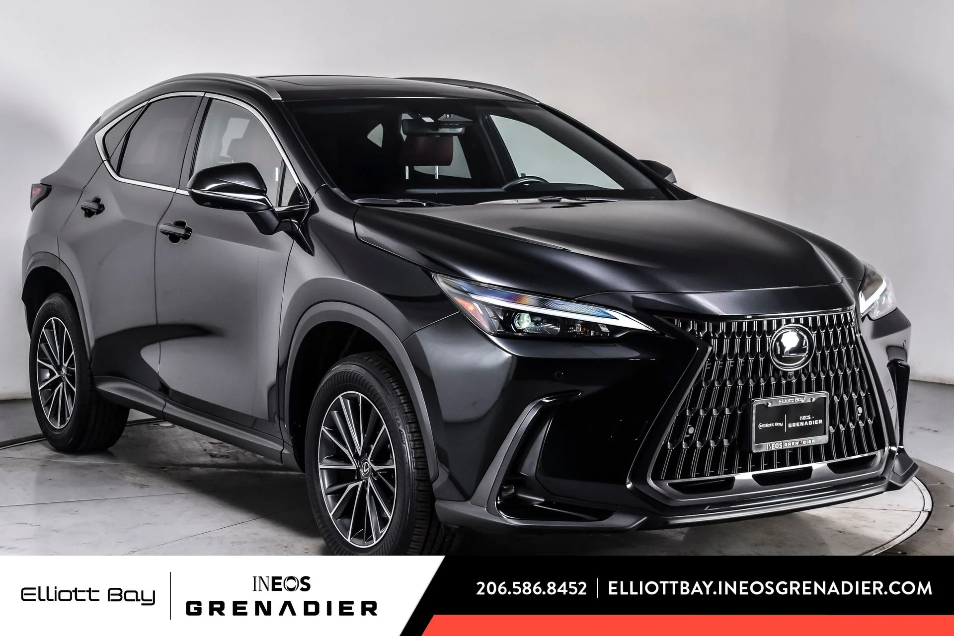 2024 Lexus NX