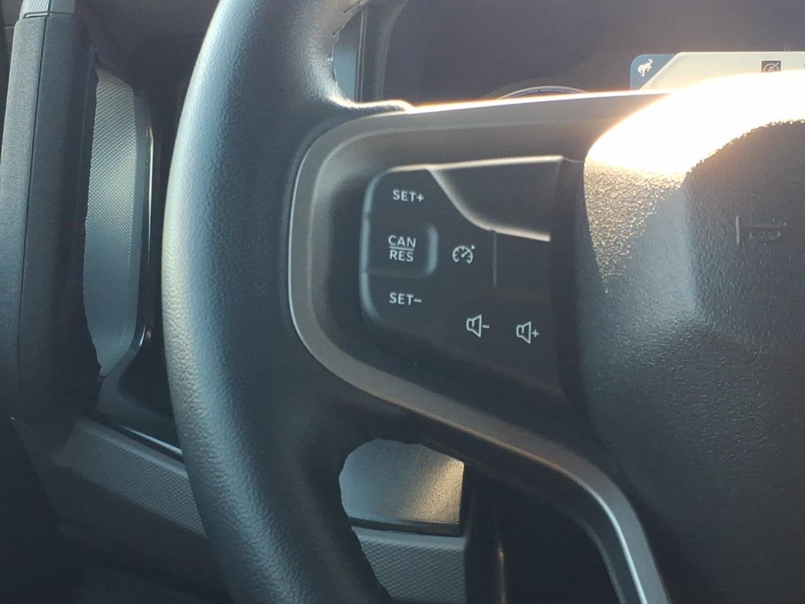 Used 2022 Cactus Gray Ford Black Diamond image 24