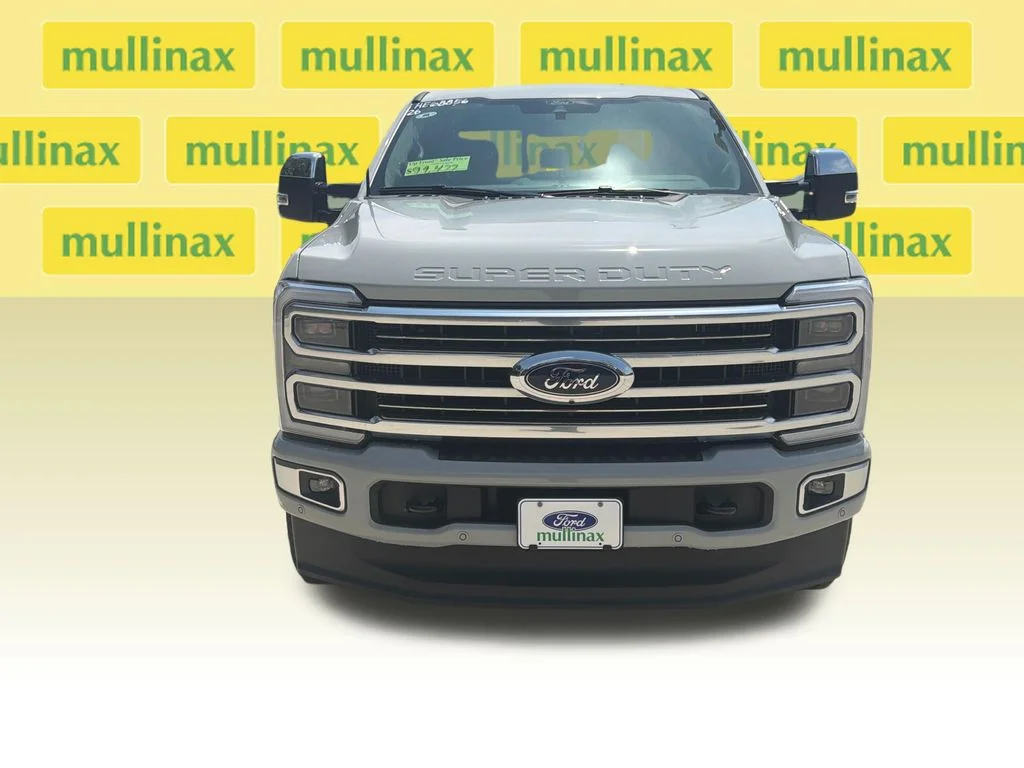 New 2026 White Ford Platinum image 15
