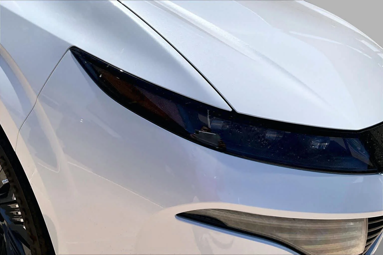 New 2026 Everest White Pearl Tricoat Nissan Platinum image 13