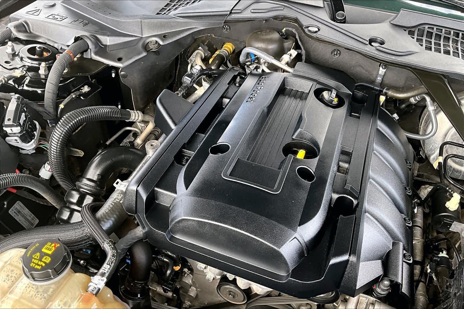 Used 2019 Shadow Black Ford EcoBoost Premium image 27