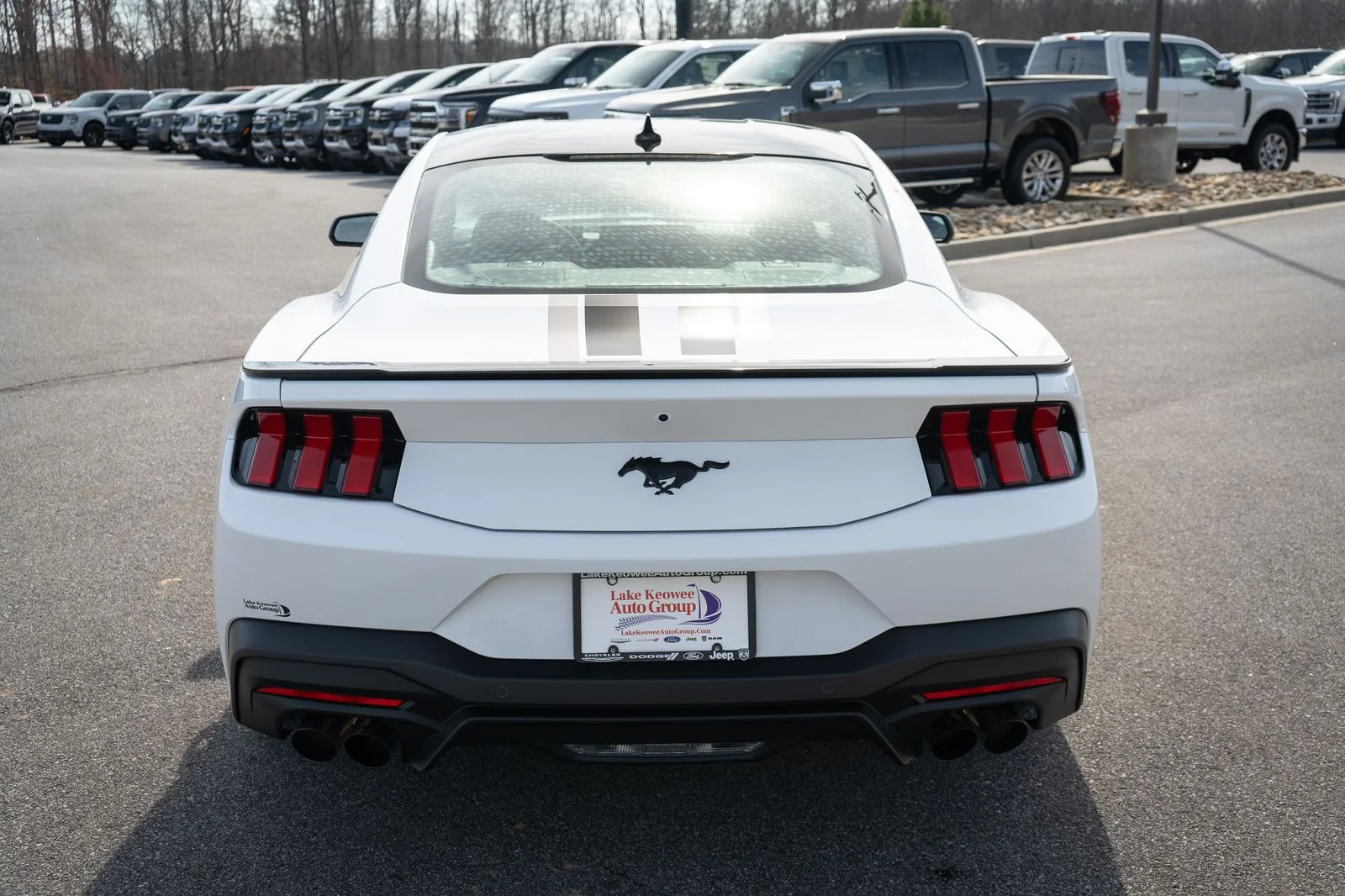 New 2026 Oxford White Ford EcoBoost® Fastback image 8