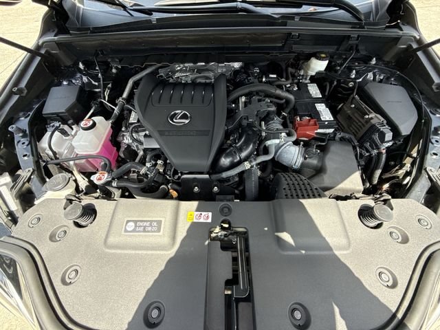 2024 Lexus NX 350 - Photo 27