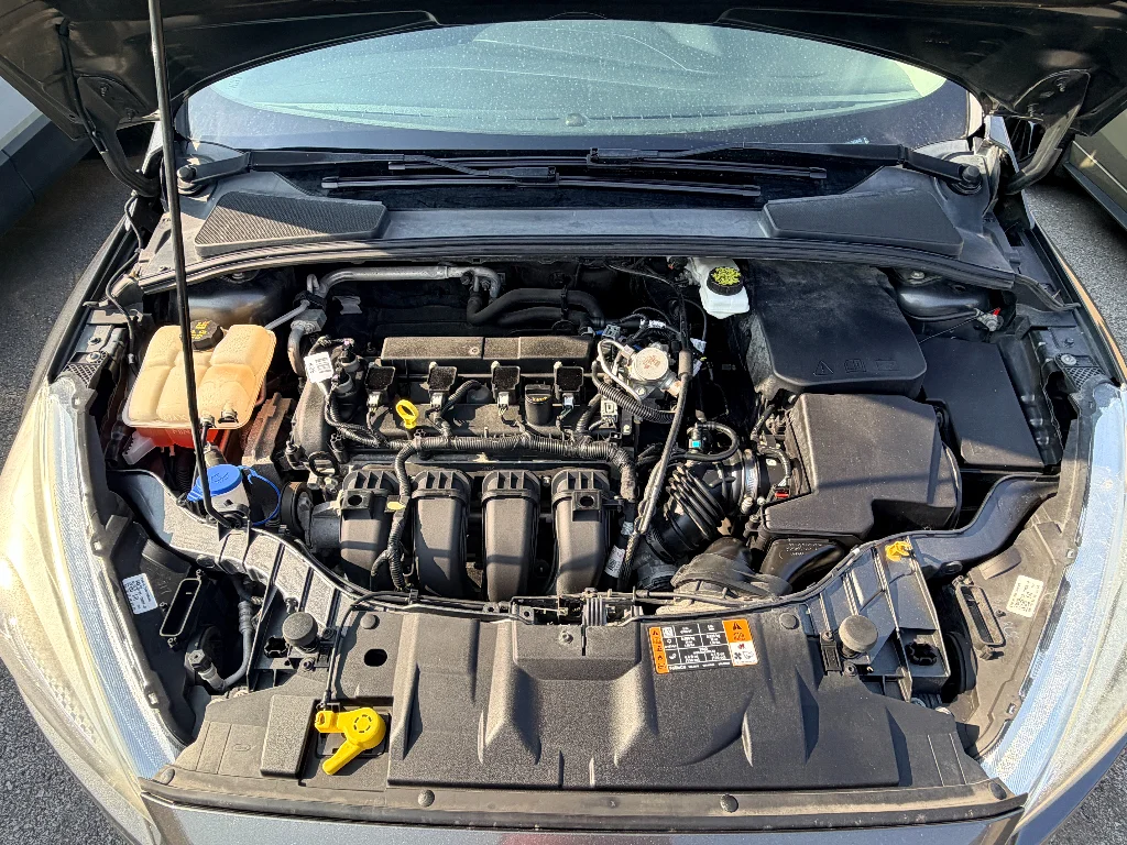 Used 2017 Magnetic Metallic Ford SE image 30