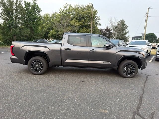 New 2026 Magnetic Gray Metallic Toyota  Platinum image 5