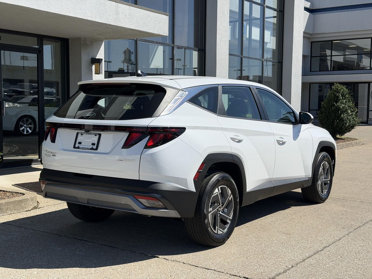 New 2026 Creamy White Pearl Hyundai Blue image 4
