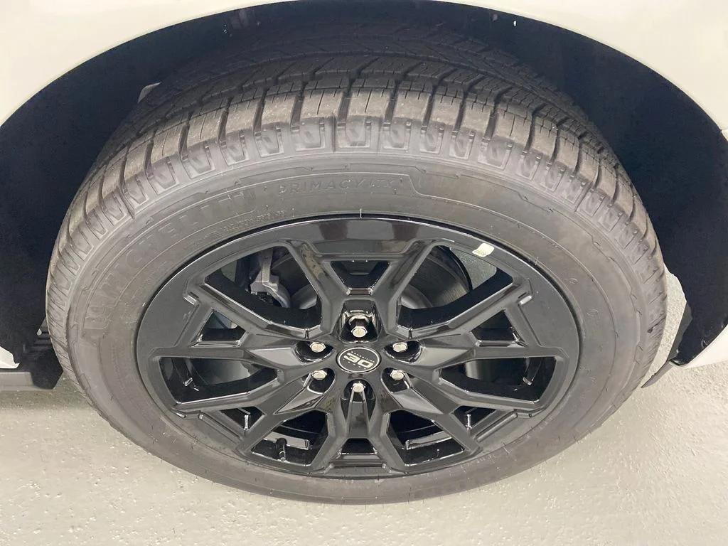 New 2027 White Ford Platinum image 5