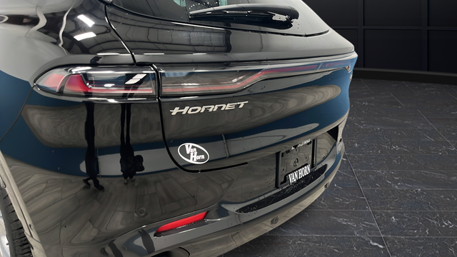 Used 2024 8 Ball Dodge R/T image 33