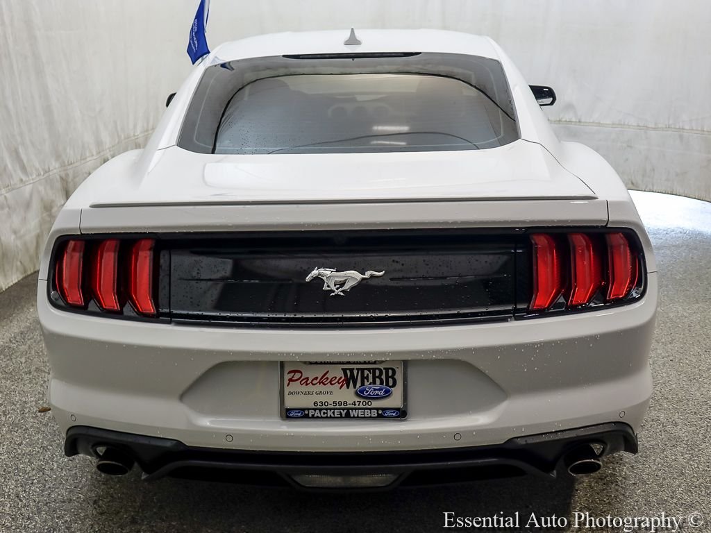 Certified Used 2023 Oxford White Ford EcoBoost Premium image 6