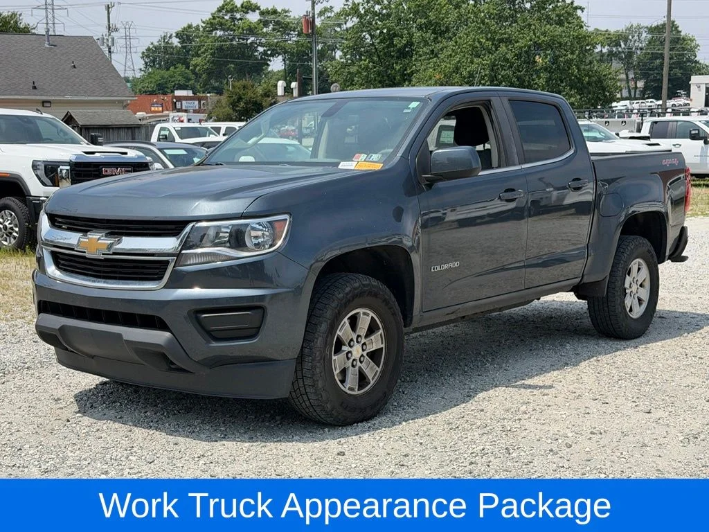 Used 2019 Gray Chevrolet Work Truck image 10