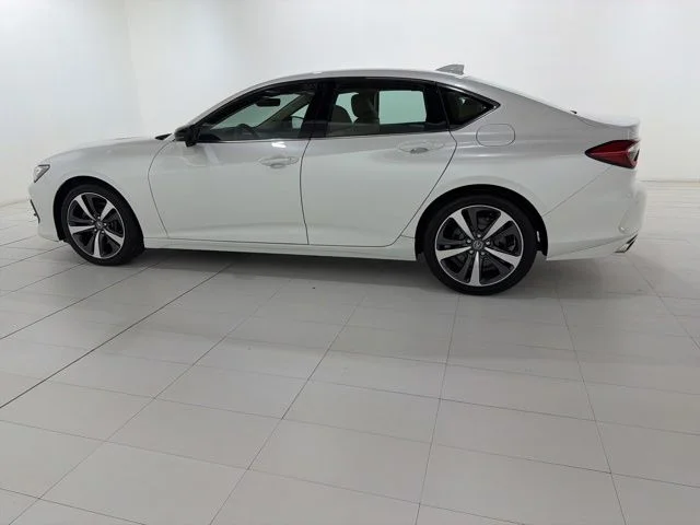 19UUB5F45SA002666