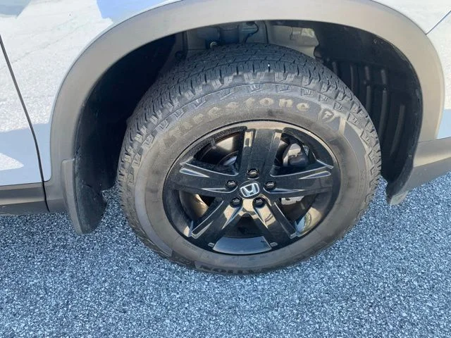 Used 2023 Gray Honda Black Edition image 40