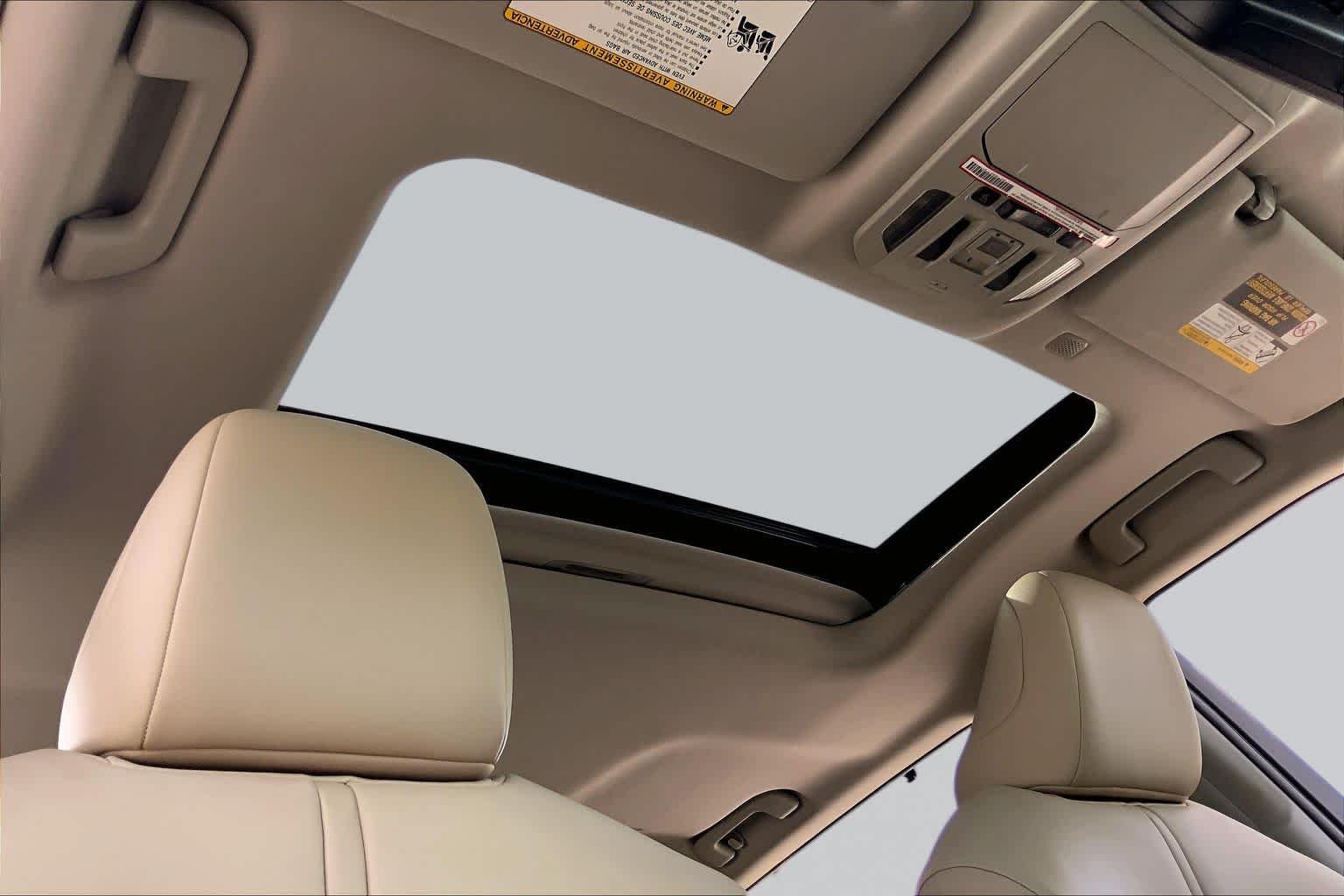 Used 2020 Opulent Amber Toyota XLE image 14