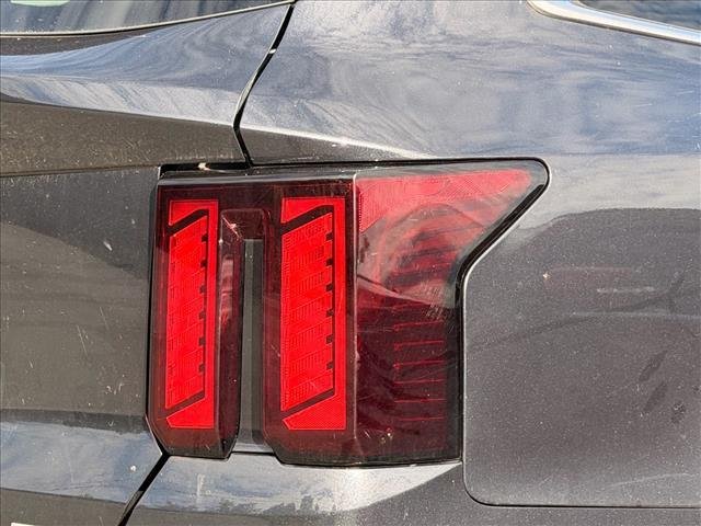 Used 2025 Panthera Metal Kia S image 11