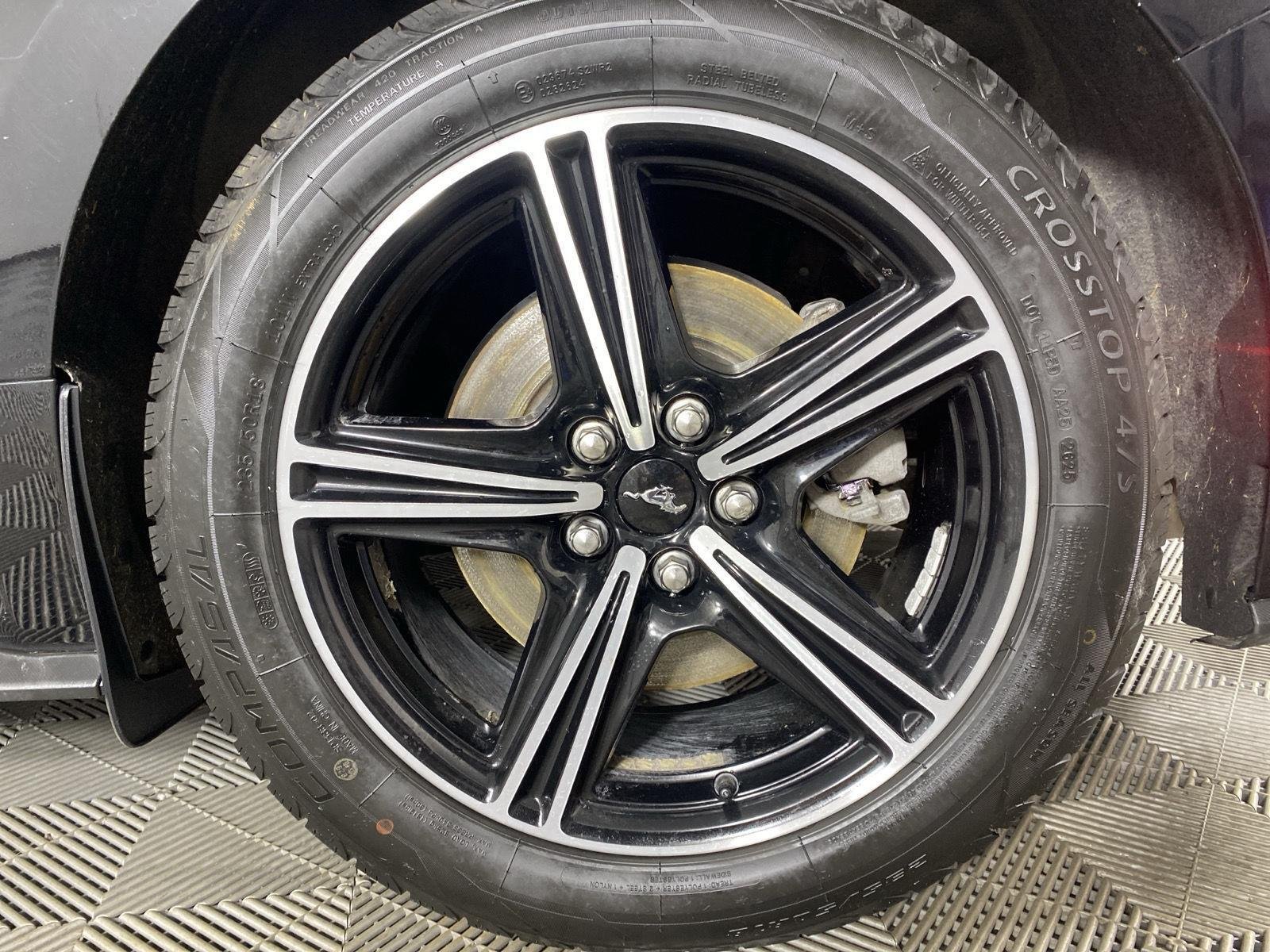 Used 2024 Shadow Black Ford EcoBoost Premium image 9