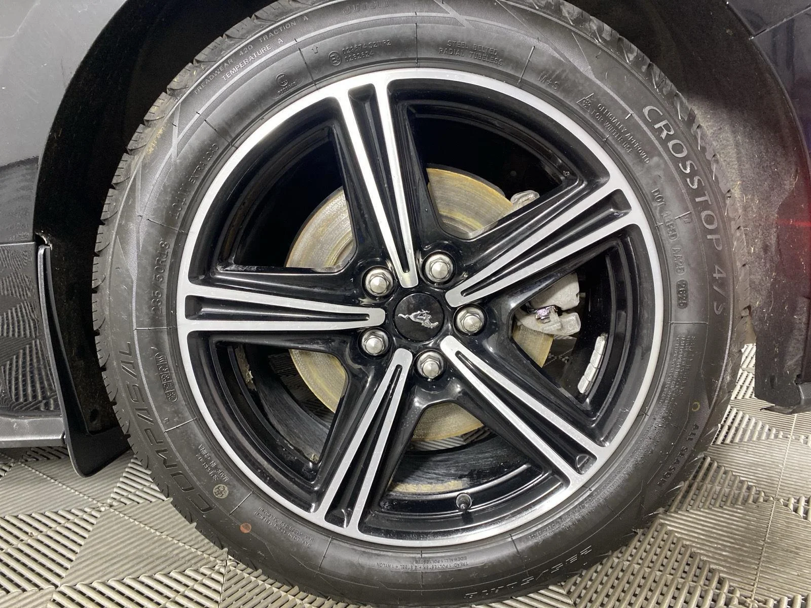 Used 2024 Shadow Black Ford EcoBoost Premium image 9