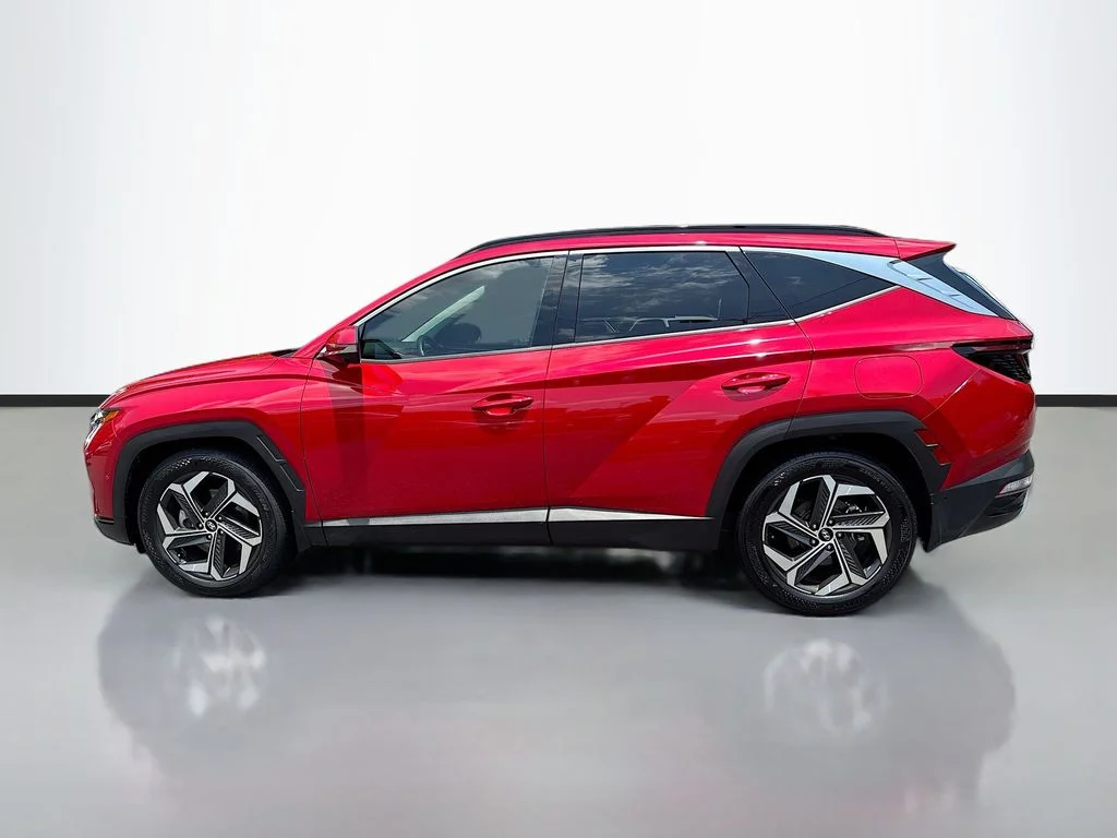 Used 2022 Calypso Red Hyundai Limited image 4
