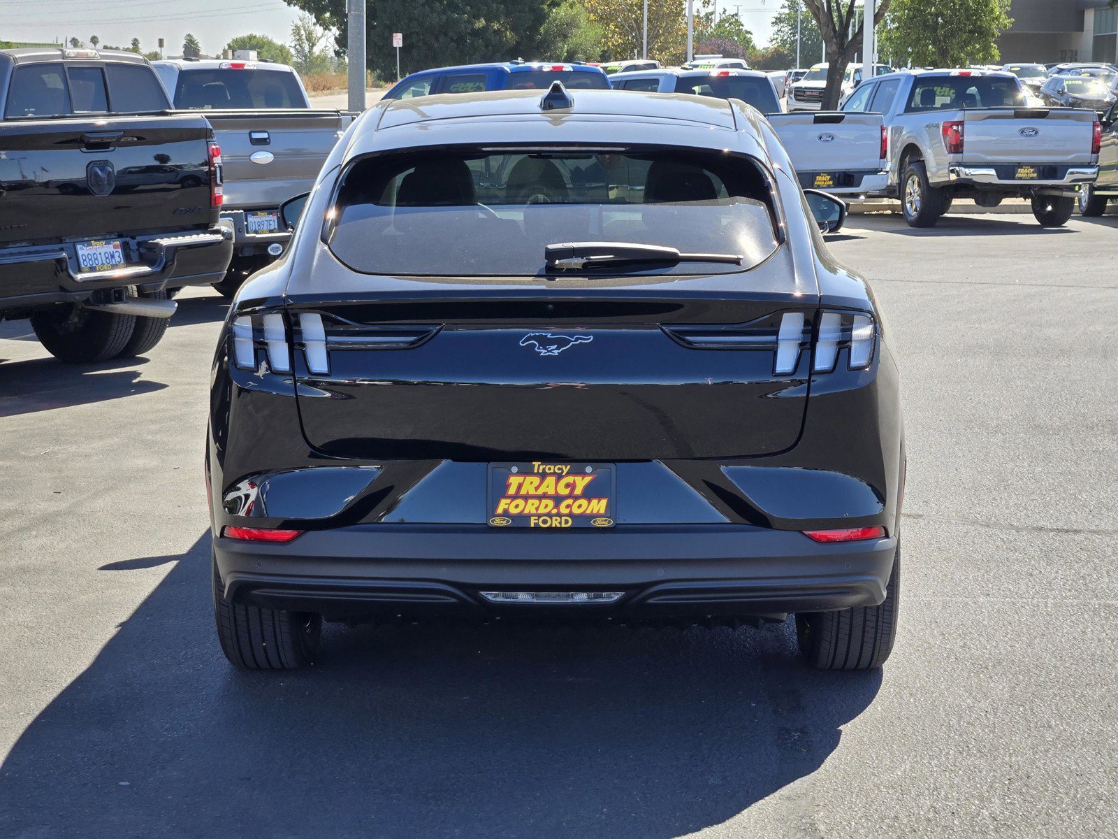 New 2026 Shadow Black Ford Premium image 5