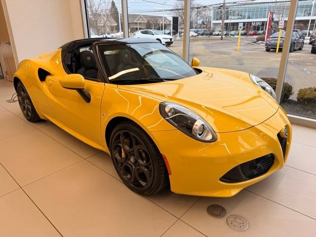 2015 Alfa Romeo 4C Spider's photo