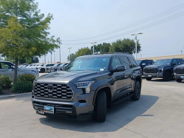 New 2026 Magnetic Gray Metallic Toyota Platinum image 8
