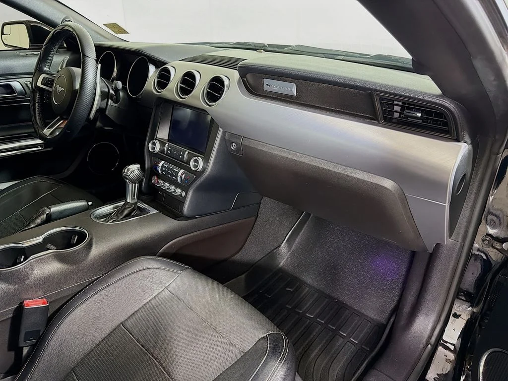 Used 2019 Black Ford EcoBoost Premium image 24