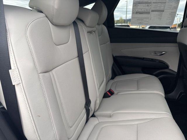 New 2026 Serenity White Pearl Hyundai Limited AWD image 13