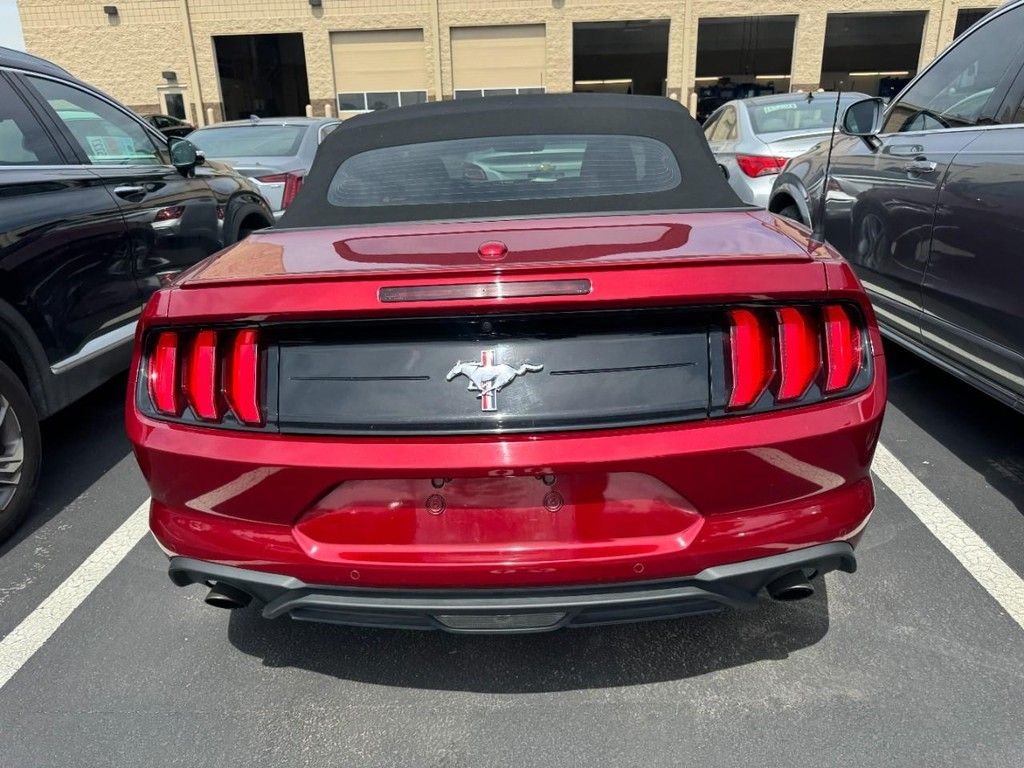 Used 2018 Red Ford EcoBoost Premium image 3