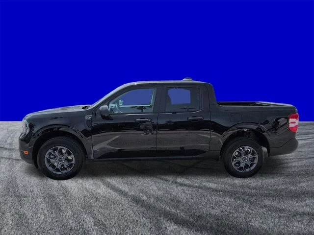 New 2026 Shadow Black Ford XLT image 7