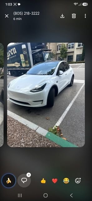 2023 Tesla Model Y Rear Wheel Drive's photo