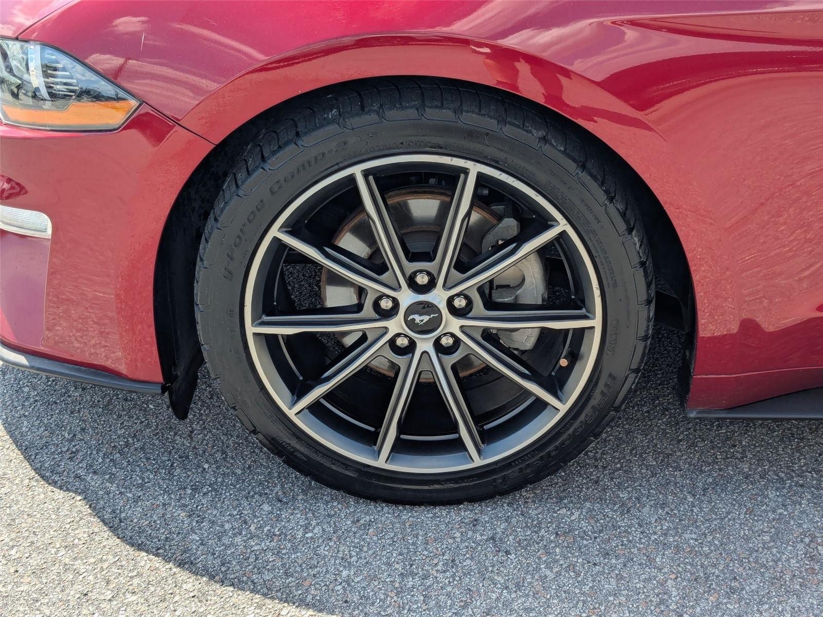 Used 2019 Ruby Red Metallic Tinted Clearcoat Ford EcoBoost Premium image 10