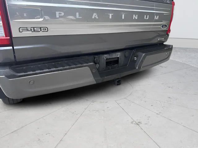 Used 2021 Gray Ford Platinum image 24