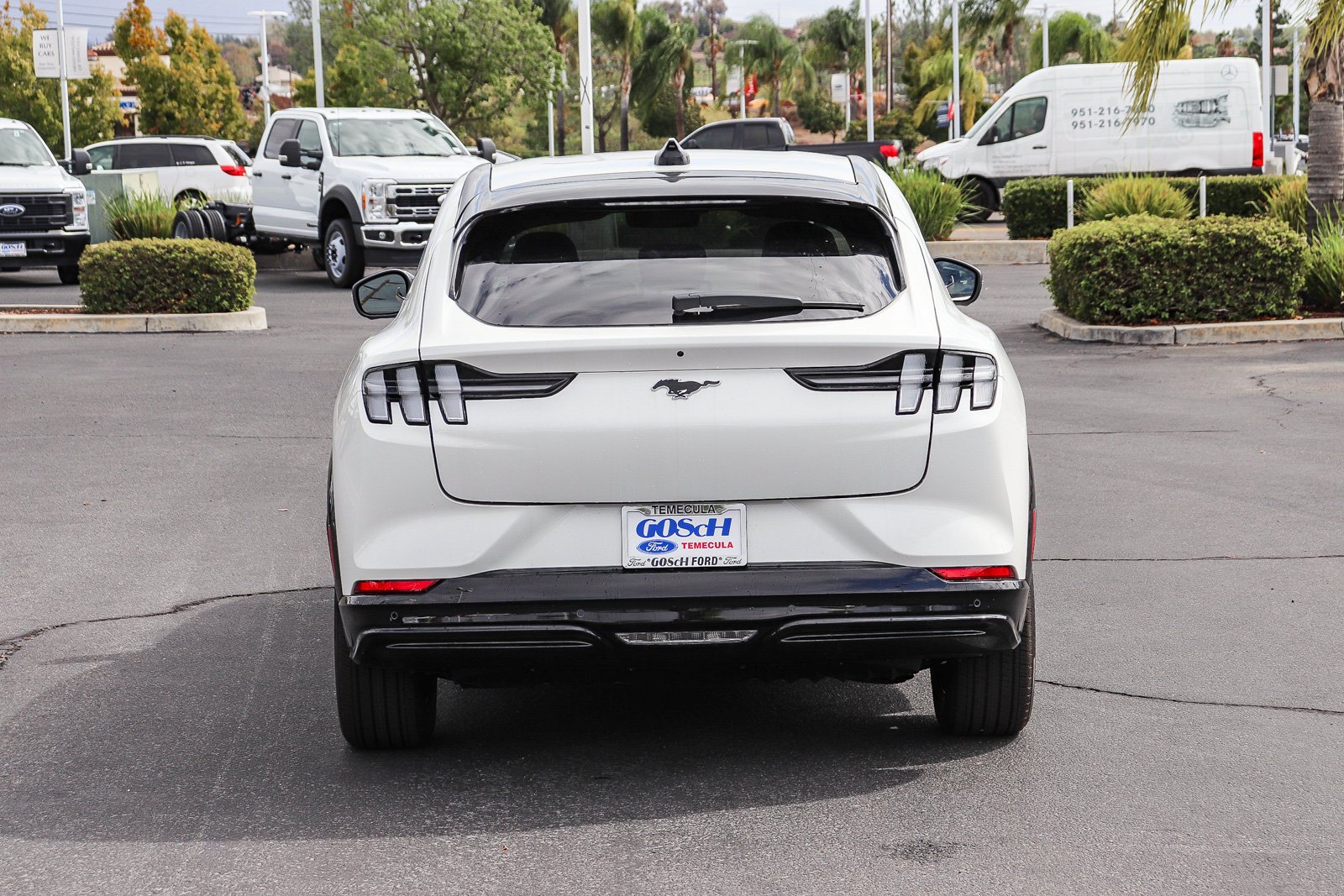 New 2026 Star White Metallic Tri-coat Ford Premium image 6