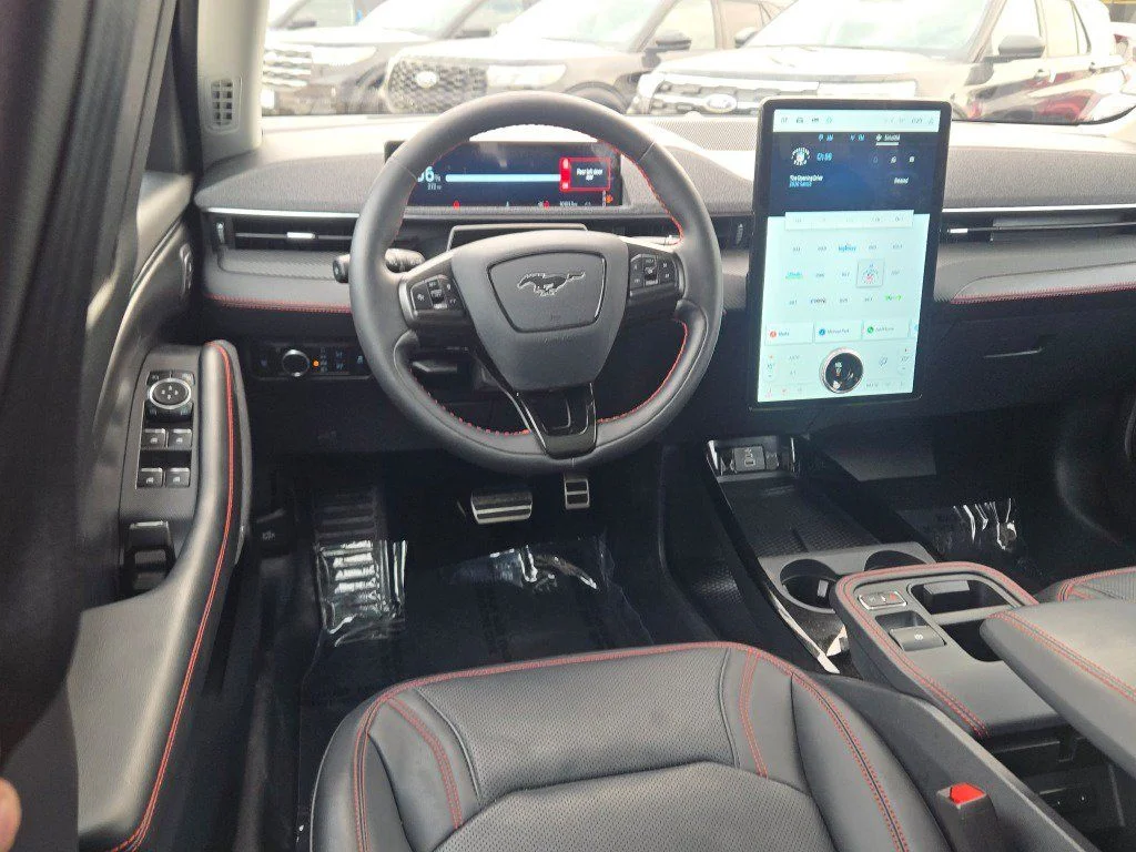 Used 2025 Shadow Black Ford Premium image 18