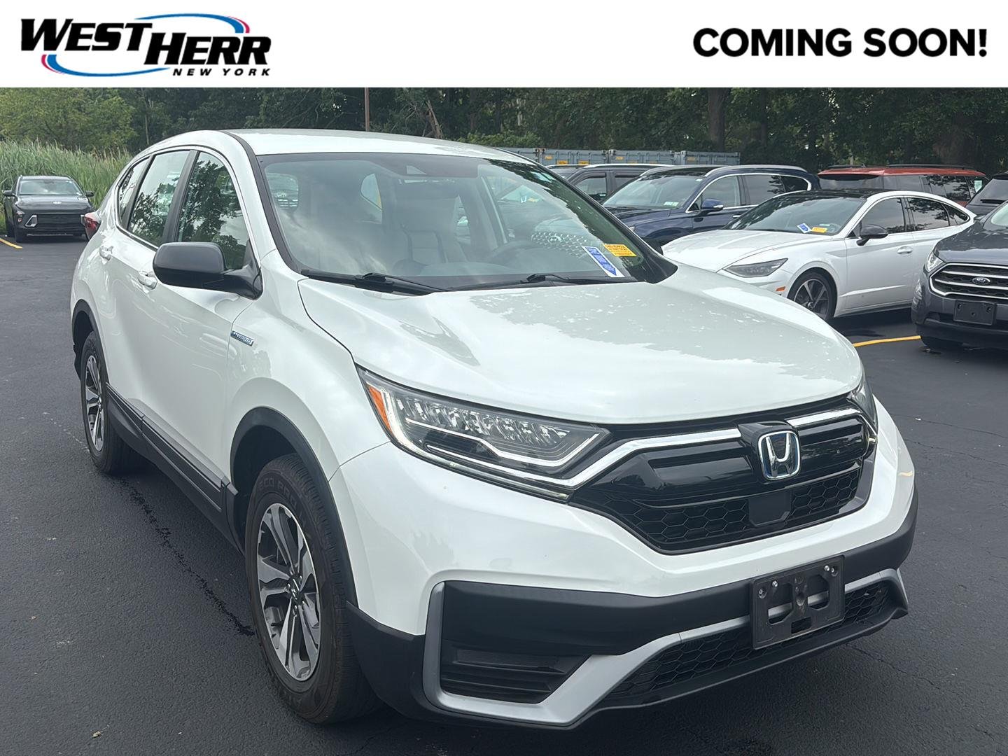 Used 2020 Platinum White Pearl Honda LX image 1