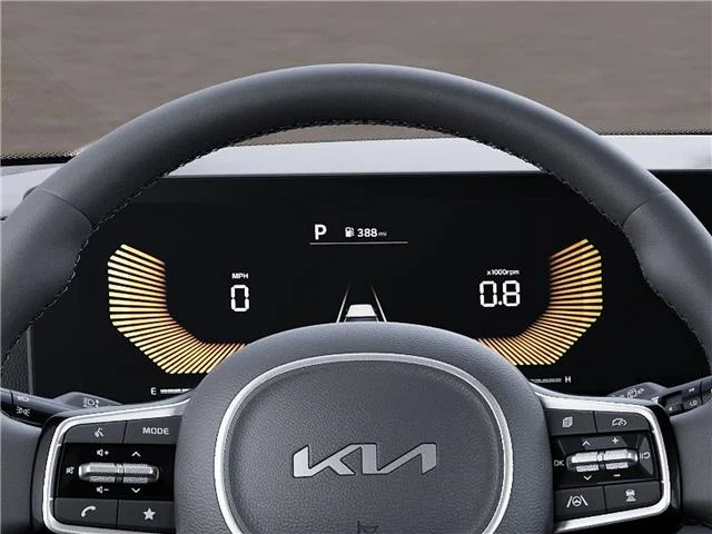 New 2026 Panthera Metal Kia  image 48