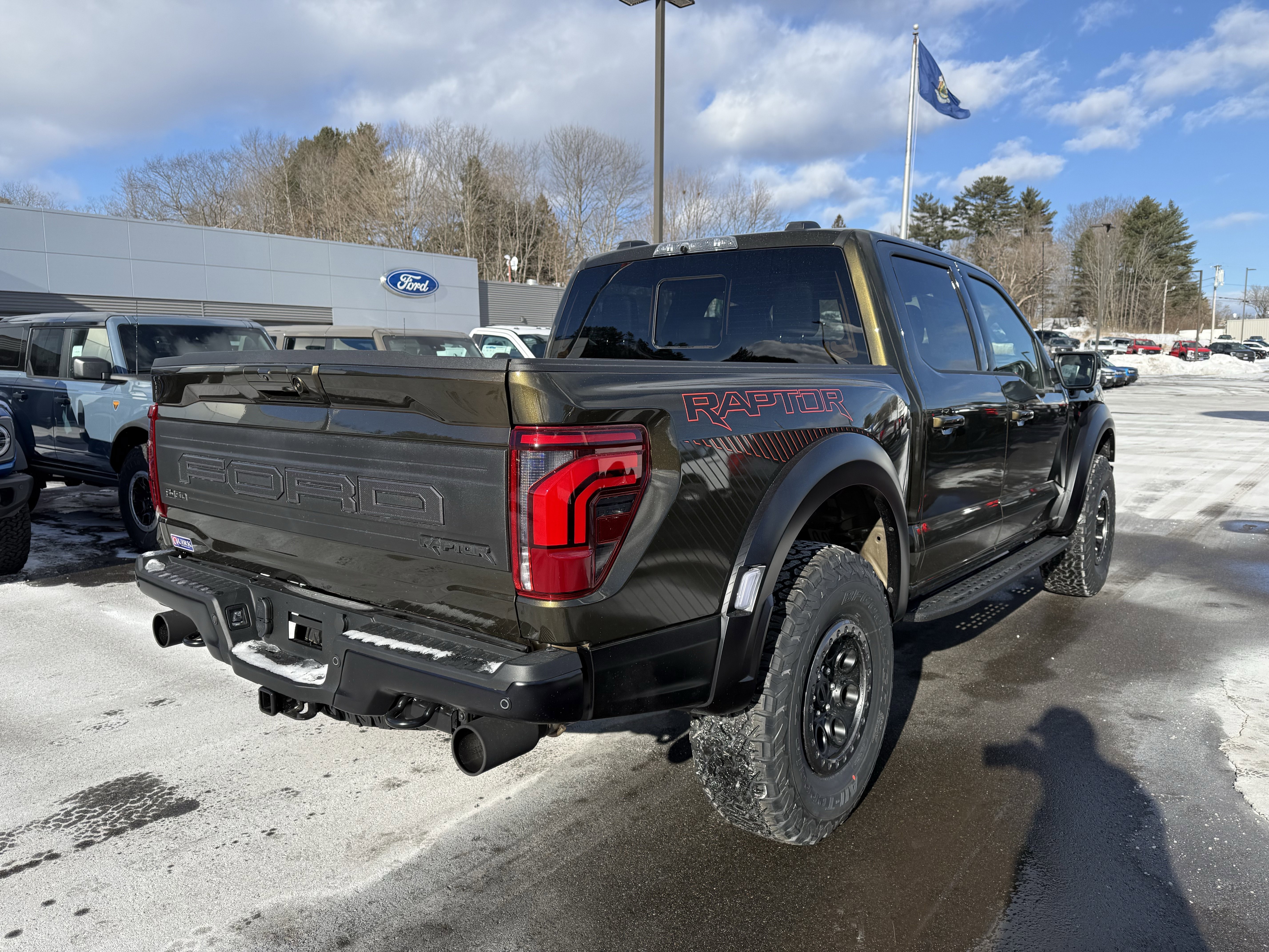 New 2025 Shelter Green Ford Raptor® image 6