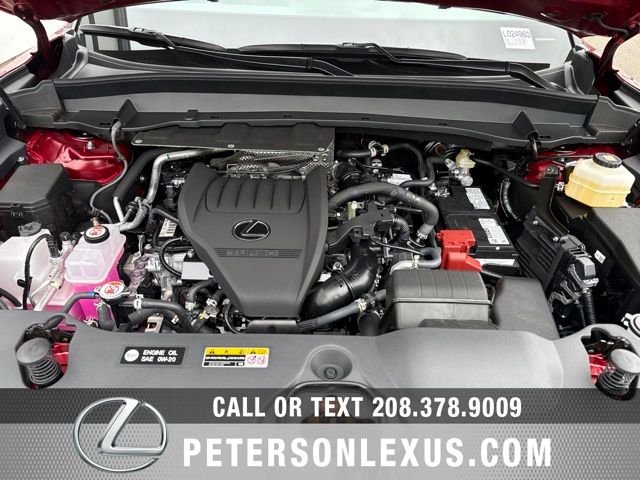 Used 2026 Red Lexus Premium image 10
