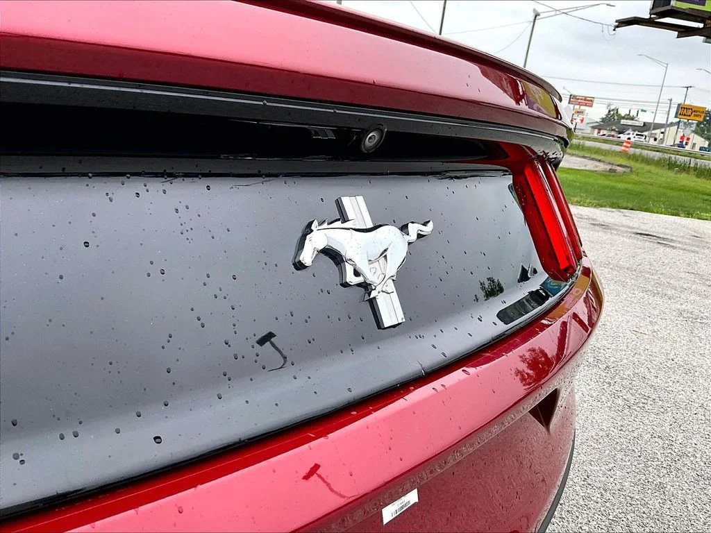 Used 2016 Red Ford V6 image 9