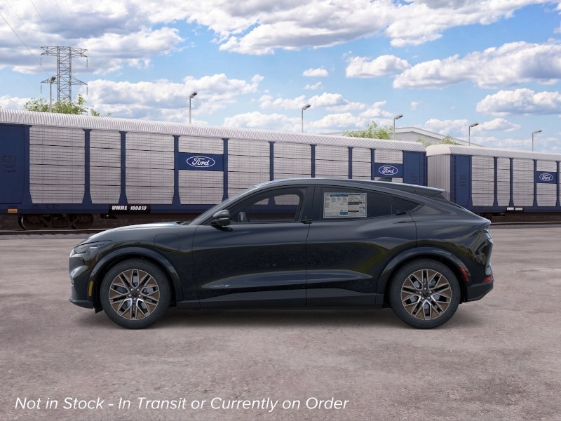 New 2026 Shadow Black Ford Premium image 3
