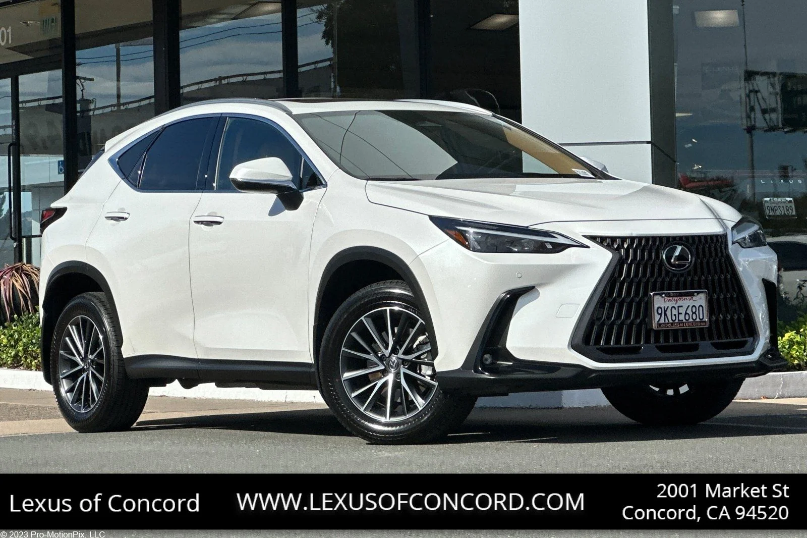2024 Lexus NX