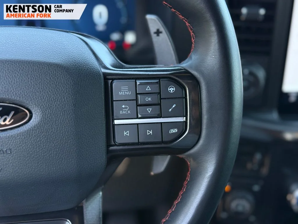 Used 2024 Gray Ford Raptor R image 17