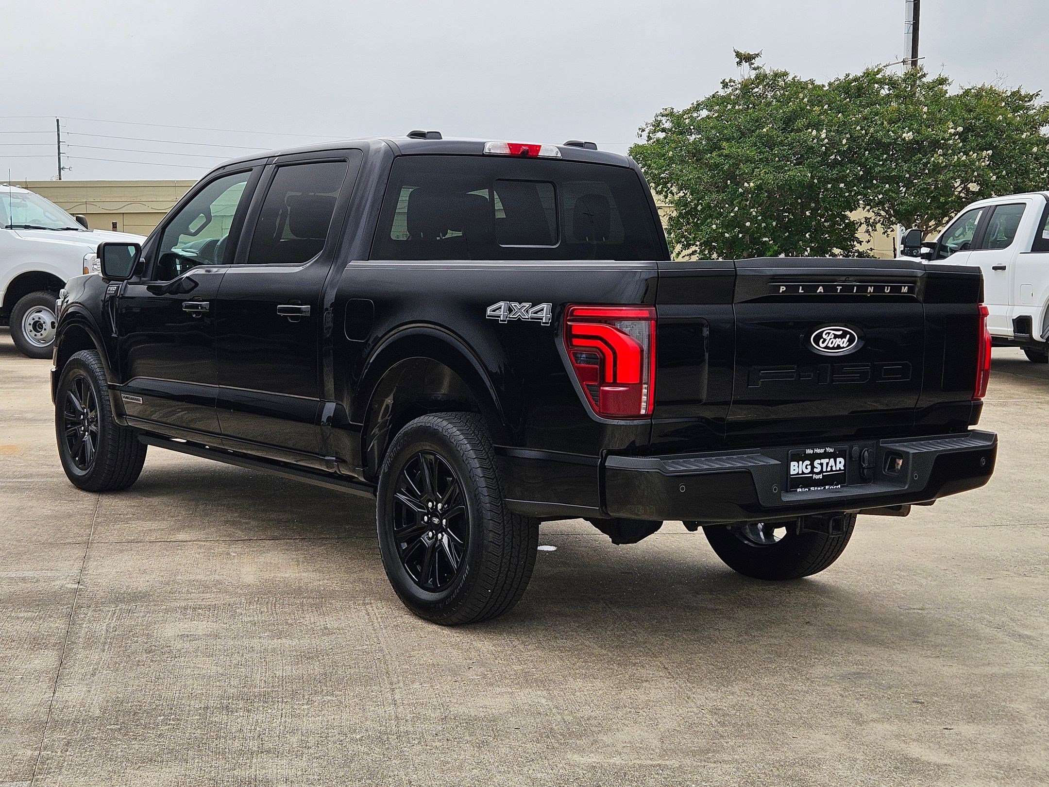 Certified Used 2025 Blue Ford Platinum image 5